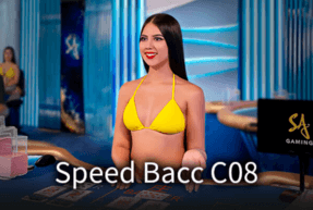 Speed Baccarat C08 by SA Gaming