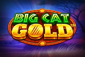 Big Cat Gold by Blueprint