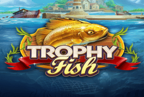 Trophy Fish by Red Tiger