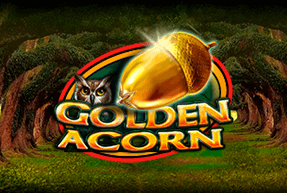 Golden Acorn by CT Interactive
