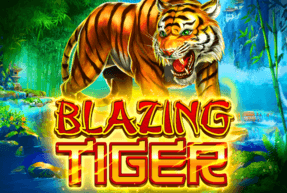 Blazing Tiger by Ruby Play